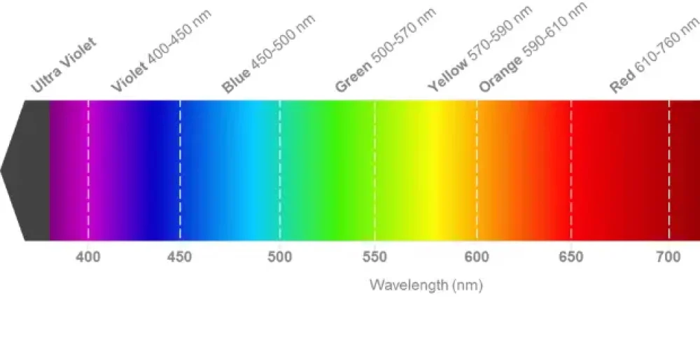 green-vs-red-laser-sight